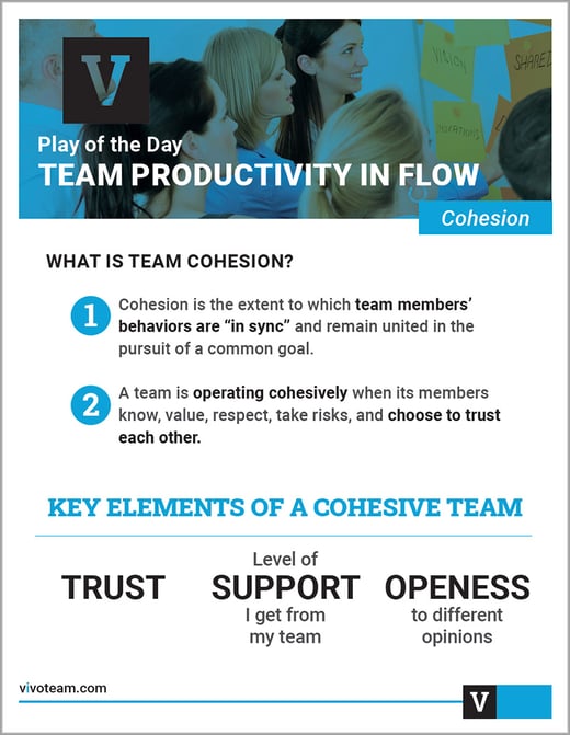 vivo_team_cohesion