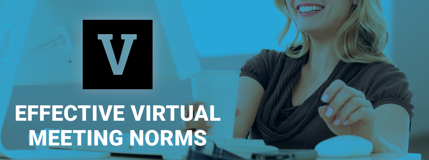 virtual_meeting_norms